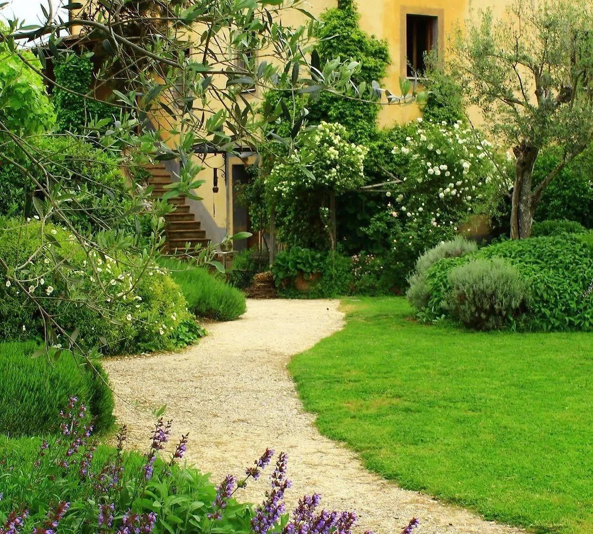 Fattoria San Martino contacts